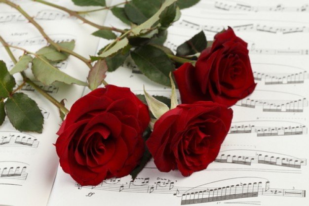 2015 11 03 rosenote