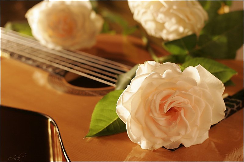 2016 05 07 guitar