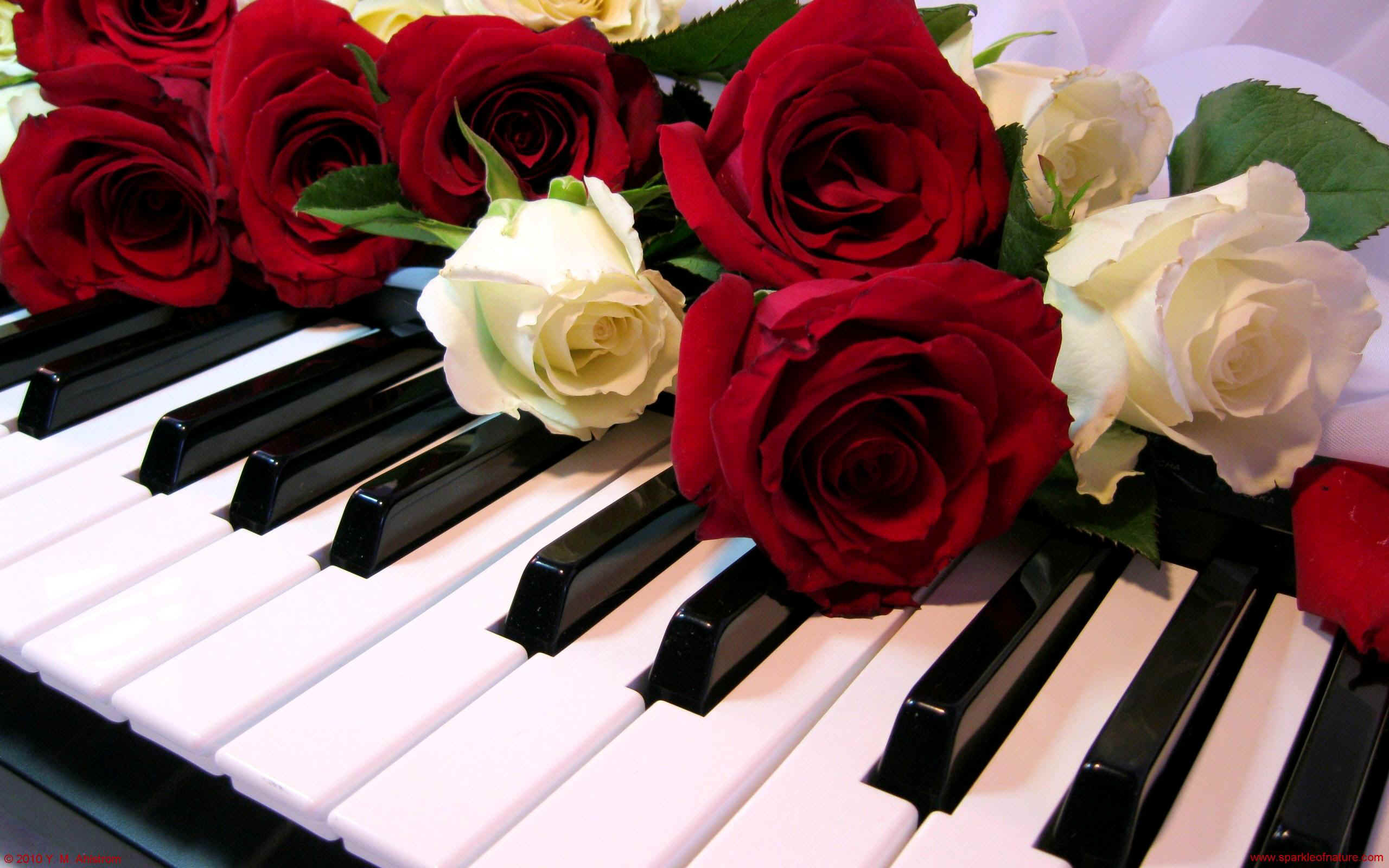 2016 11 22 piano