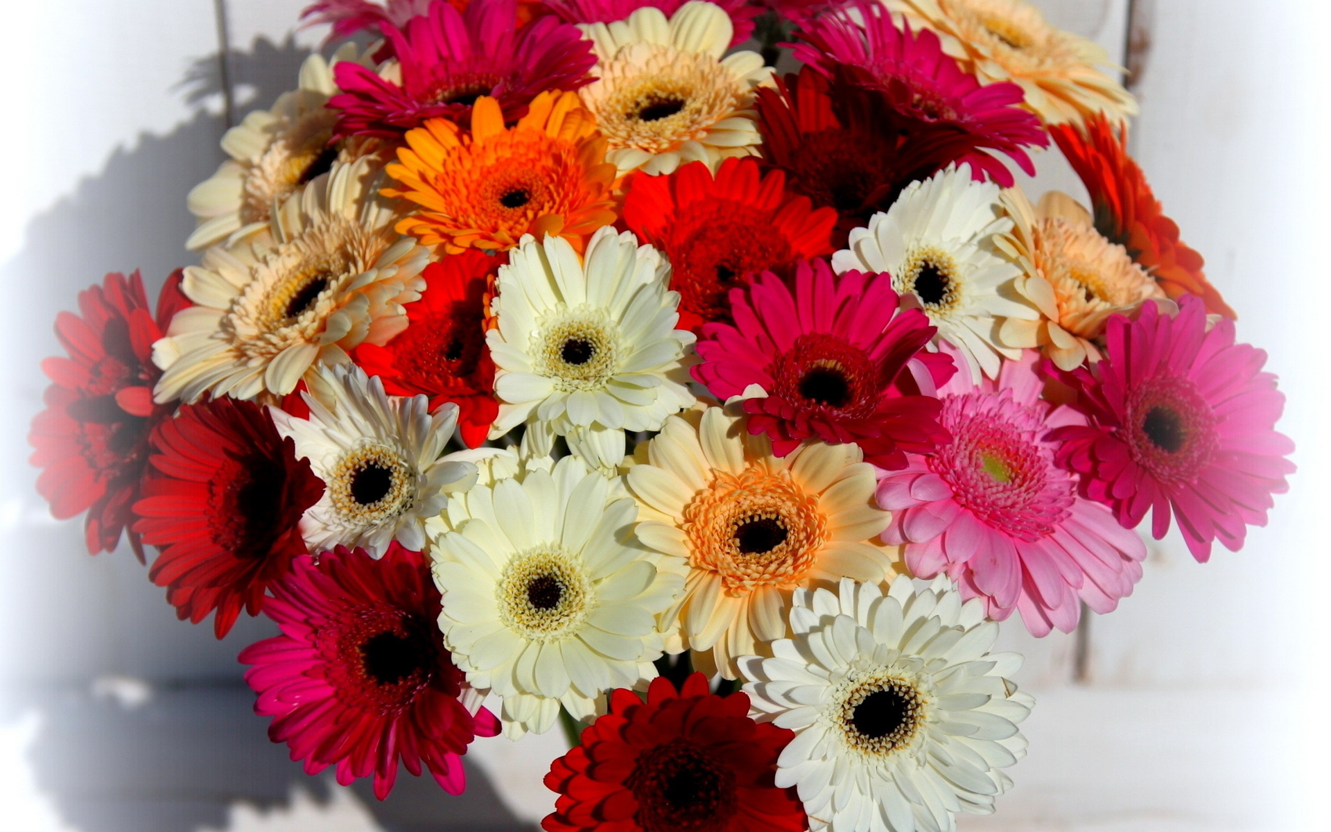 2017 03 15 flowers
