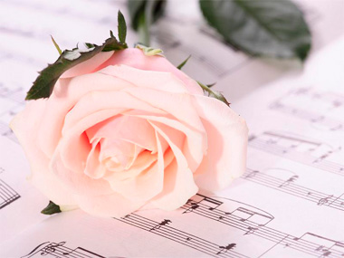 2014-04-16-rose