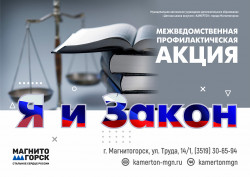 Межведомственная профилактическая акция "Я и закон"